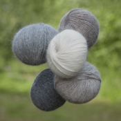 Laine Angora " Coloris Naturels "